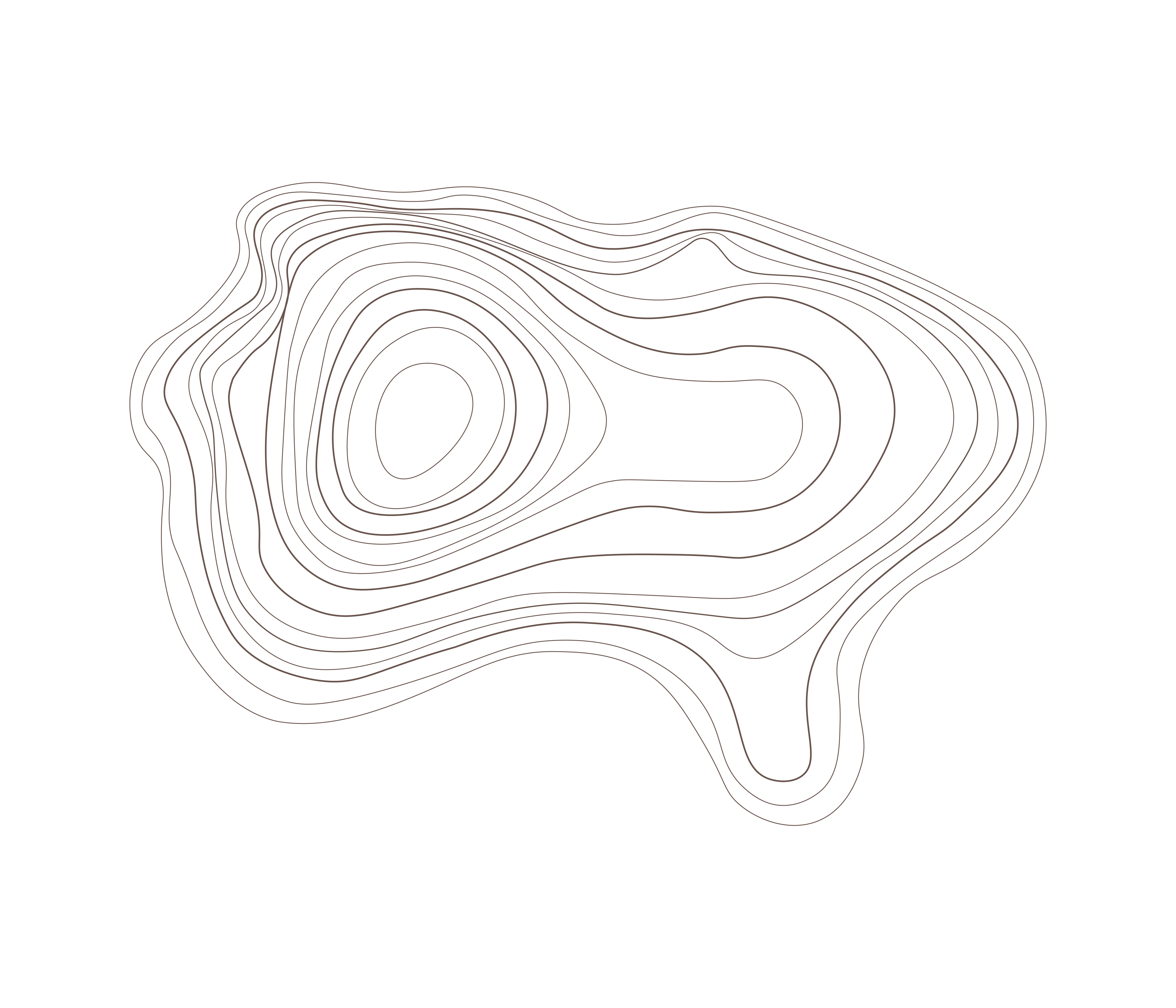Topografía Kuntur Andes